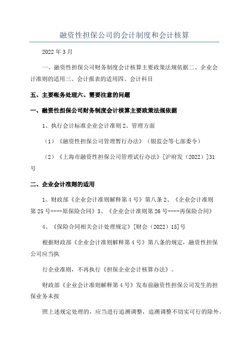 融资性担保公司的会计制度和会计核算