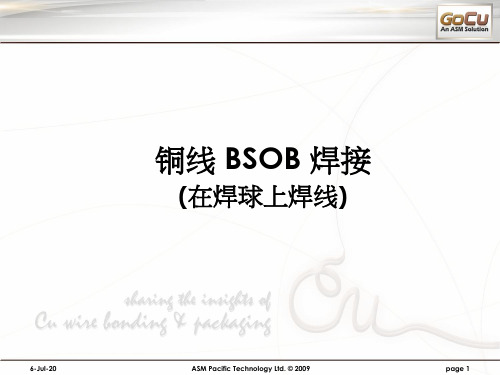 BSOB-Chinese