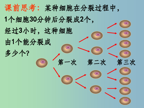 七年级数学上册 1.5 有理数的乘方 (新版)新人教版