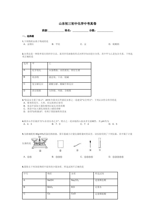 山东初三初中化学中考真卷带答案解析
