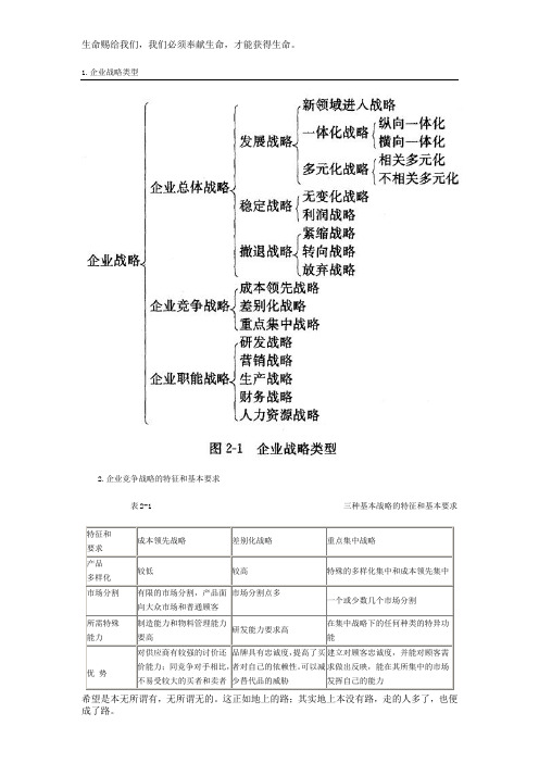 公司战略图解1