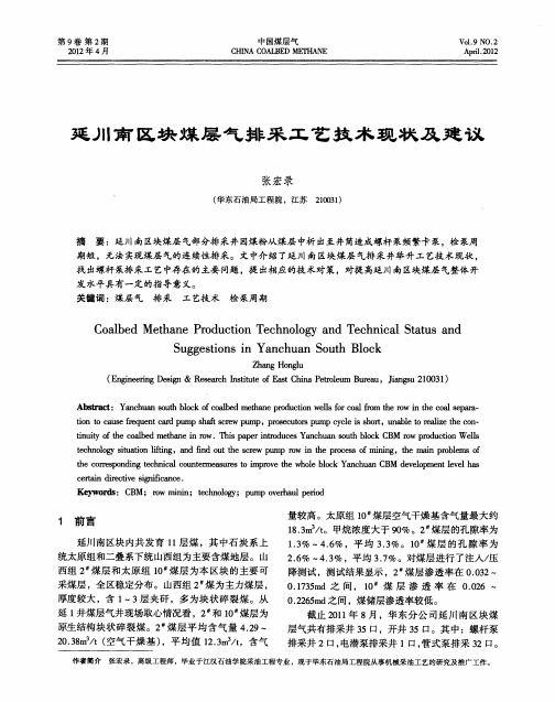 延川南区块煤层气排采工艺技术现状及建议