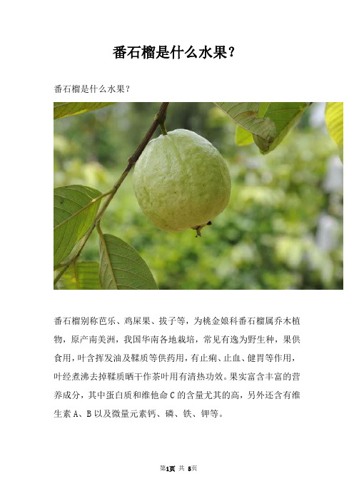 番石榴是什么水果？