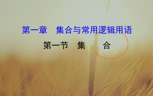 2018届高考数学理科全国通用一轮总复习课件：第一章 集合与常用逻辑用语 1-1 精品