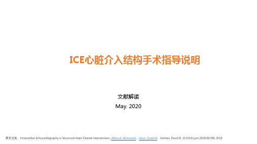 《ICE指导心脏结构介入手术说明》