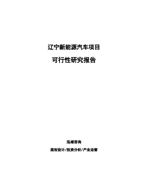 辽宁新能源汽车项目可行性研究报告