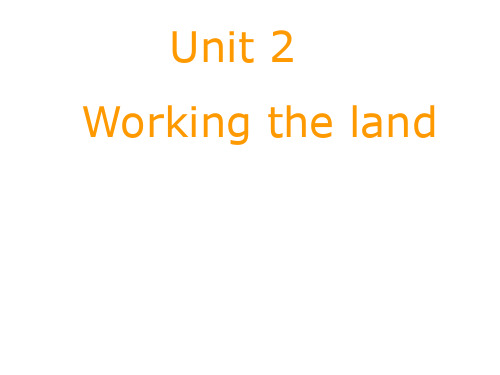 Unit2Workingtheland-Reading阅读课件