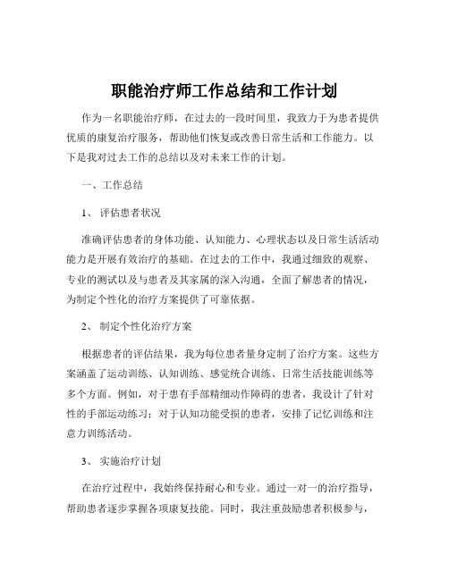 职能治疗师工作总结和工作计划