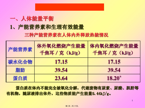 食品营养学人体能量需要.pptx