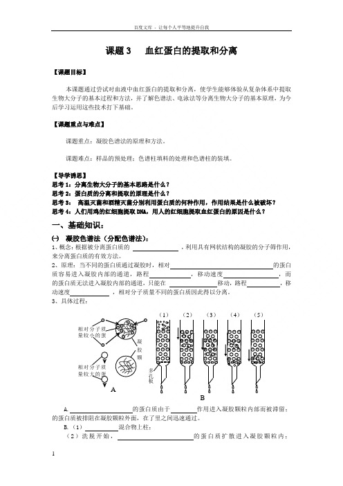 新人教版生物选修1课题3血红蛋白的提取和分离word学案