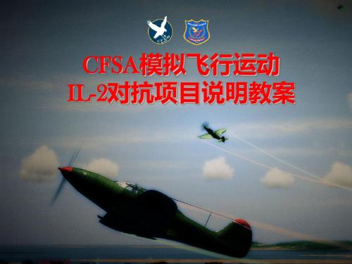 CFSA IL2 项目说明