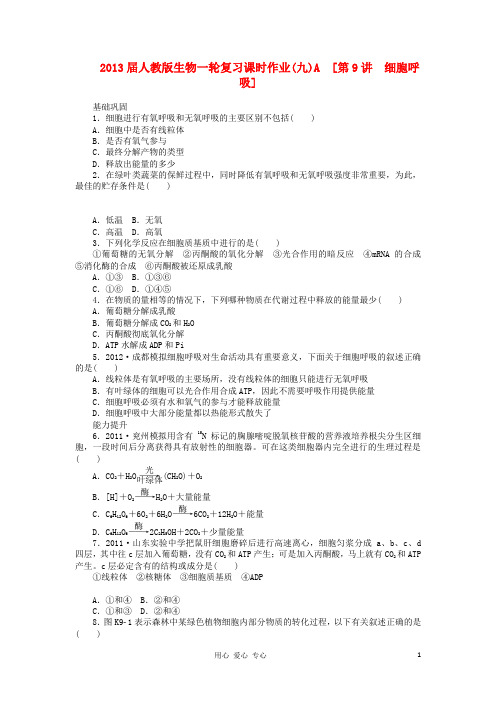 2013届高三生物一轮复习课时作业(9)第9讲 细胞呼吸A 新人教版
