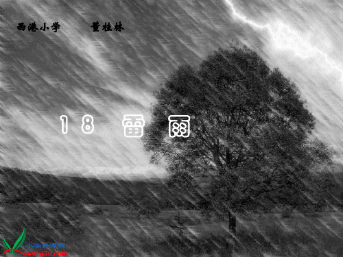 二年级语文下册《雷雨_3》PPT课件