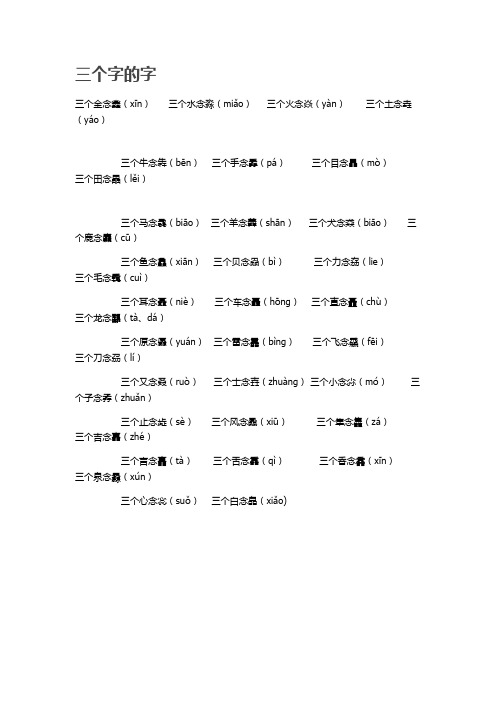 三个字的字 Microsoft Office Word 2007 文档 (2)