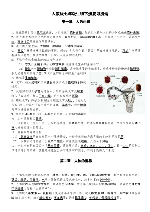 七年级生物下册复习提纲