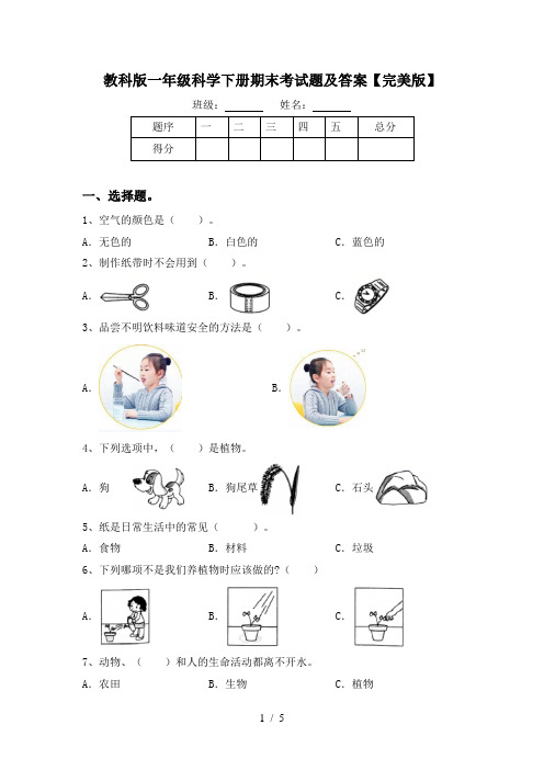 教科版一年级科学下册期末考试题及答案【完美版】