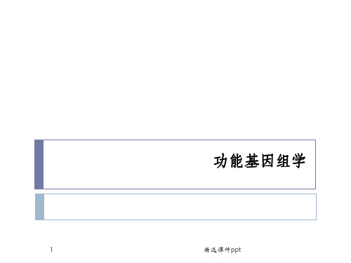 《功能基因组学》PPT课件