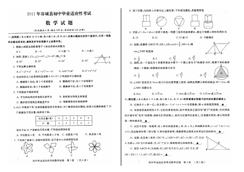 2011年襄阳各地中考适应考试数学试题汇总(9套39页)