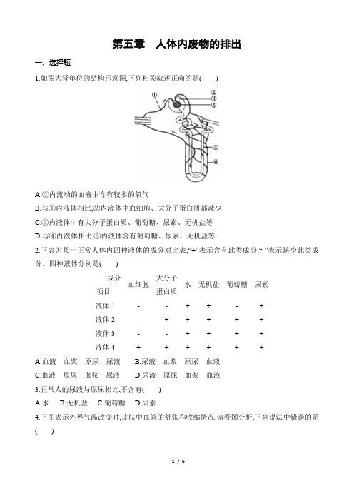 2020年人教版七年级生物下册第四单元第五章 人体内废物的排出  同步测试(解析版)