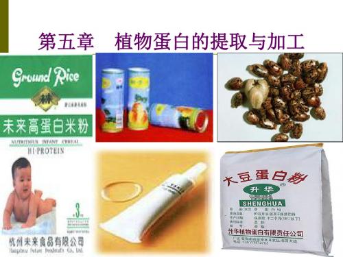 食品工艺-食品加工-第五章 植物蛋白的提取与加工