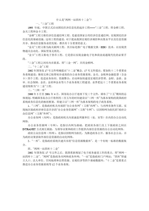 什么是“两网一站四库十二金”？