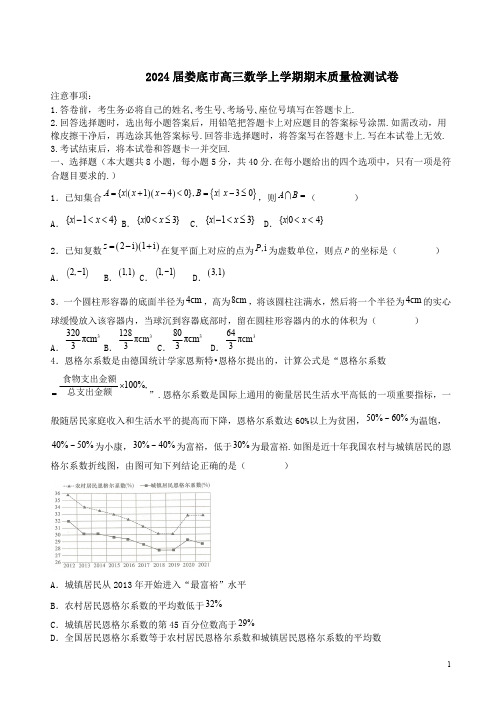 2024届娄底市高三数学上学期期末质量检测试卷附答案解析