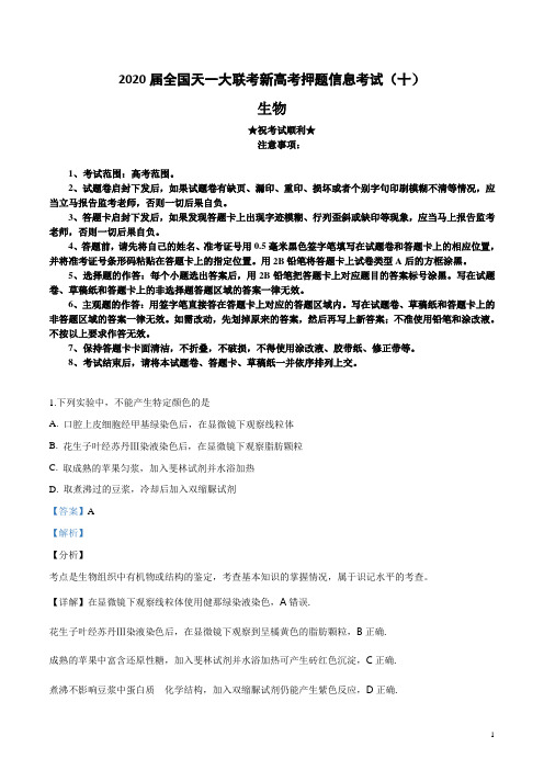 2020届全国天一大联考新高考押题信息考试(十)生物试卷