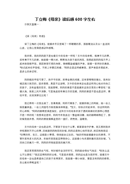 丁立梅《母亲》读后感600字左右