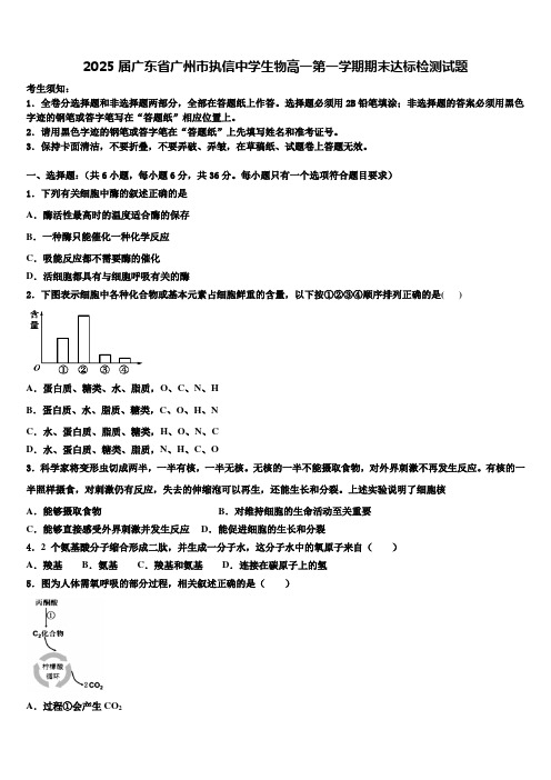 2025届广东省广州市执信中学生物高一第一学期期末达标检测试题含解析