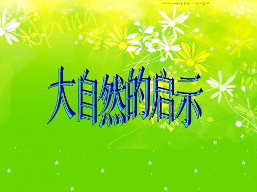 人教版小学语文四年级下册大自然的启示 PPT课件