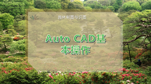 Auto CAD基本操作