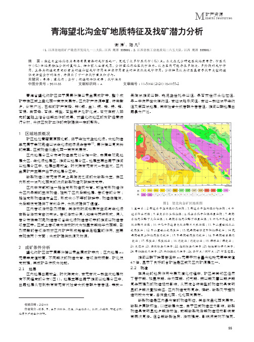 青海望北沟金矿地质特征及找矿潜力分析