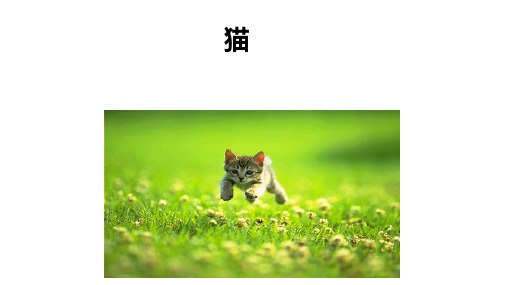 第16课《猫》 统编版语文七年级上册