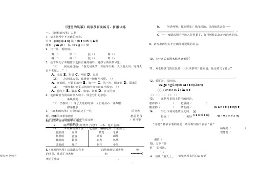 《理想的风筝》阅读及答案