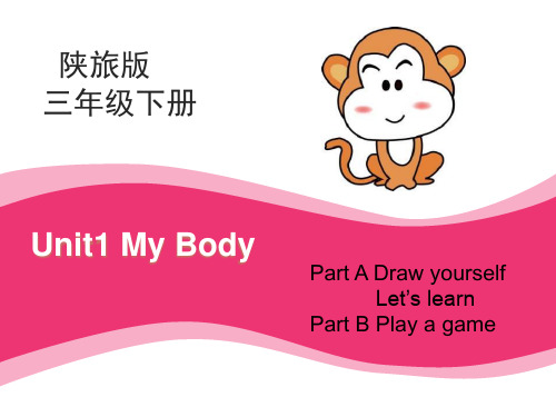 《My Body》PPT