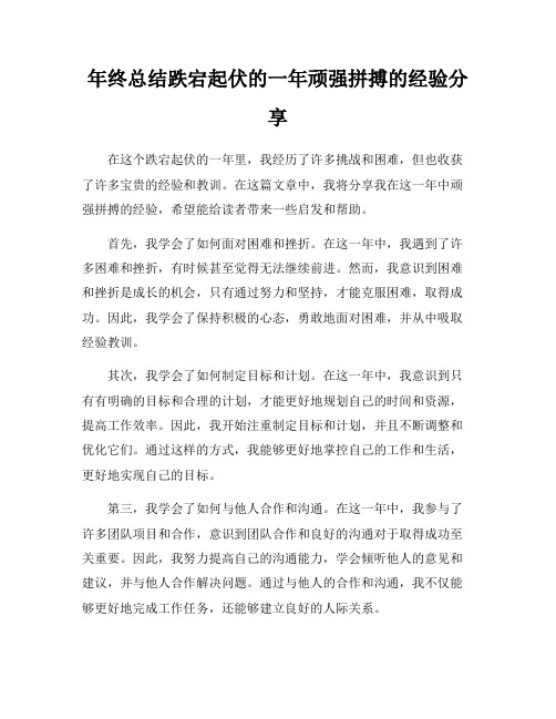 年终总结跌宕起伏的一年顽强拼搏的经验分享