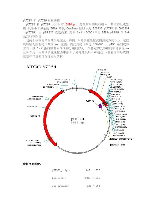 pUC18+和+pUC19质粒图谱