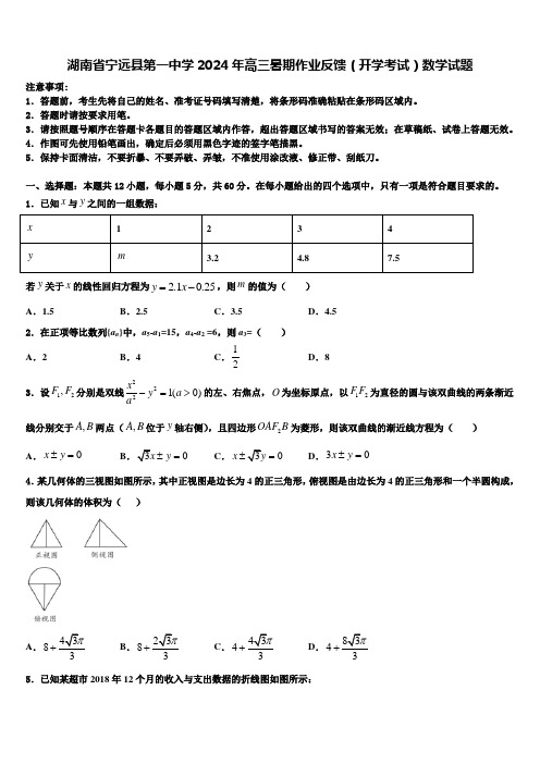 湖南省宁远县第一中学2024年高三暑期作业反馈(开学考试)数学试题