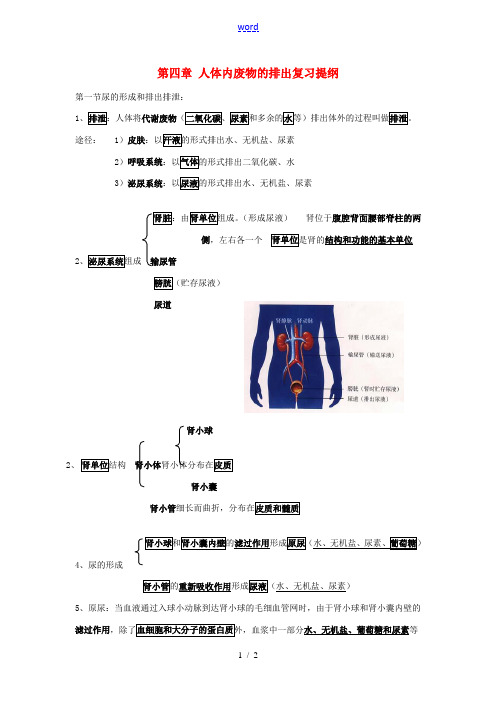 山东省滕州市大坞镇大坞中学七年级生物下册 第四章 人体内废物的排出复习提纲 济南版