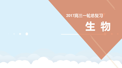 高考生物一轮复习 第三单元 细胞的能量供应和利用 专题9 能量之源-光与光合作用课件(必修1)
