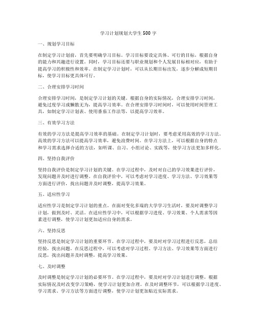 学习计划规划大学生500字