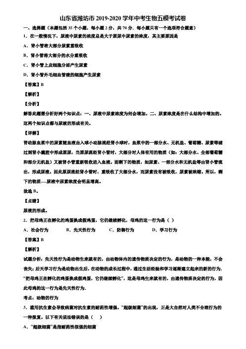 山东省潍坊市2019-2020学年中考生物五模考试卷含解析