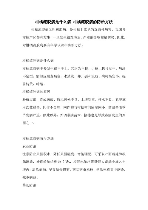 柑橘流胶病是什么病 柑橘流胶病的防治方法