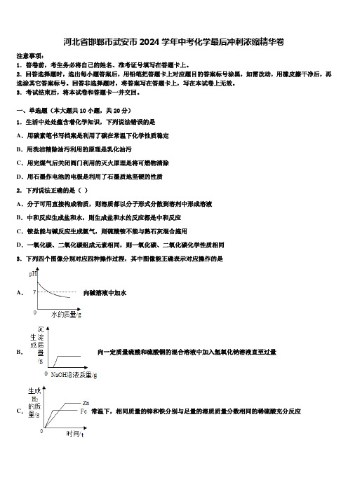 河北省邯郸市武安市2024届中考化学最后冲刺浓缩精华卷含解析