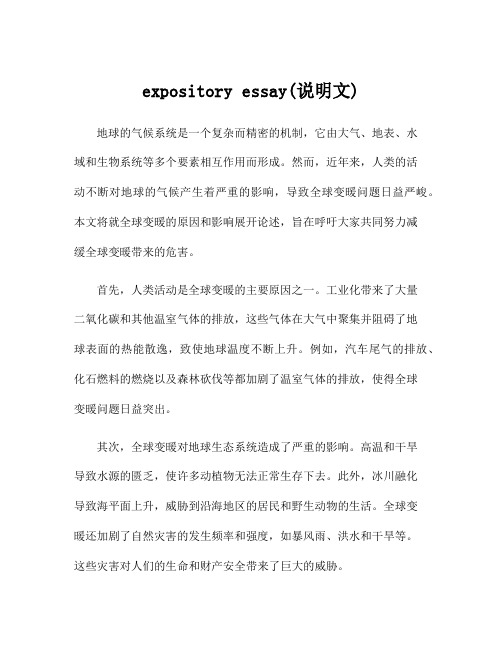 expository essay(说明文)