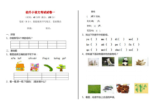 幼升小语文考试试卷一