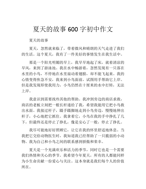 夏天的故事600字初中作文