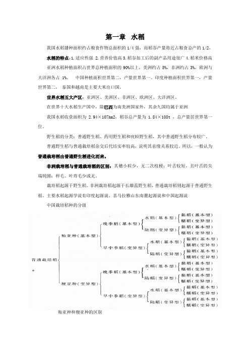 栽培学各论玉米、水稻马铃薯复习