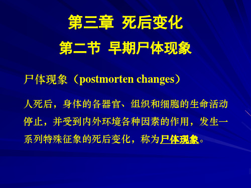 医学]法医学3死后变化