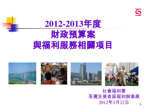 2012-2013年度财政预算案与福利服务相关项目